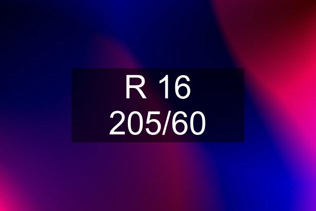 R 16 205/60