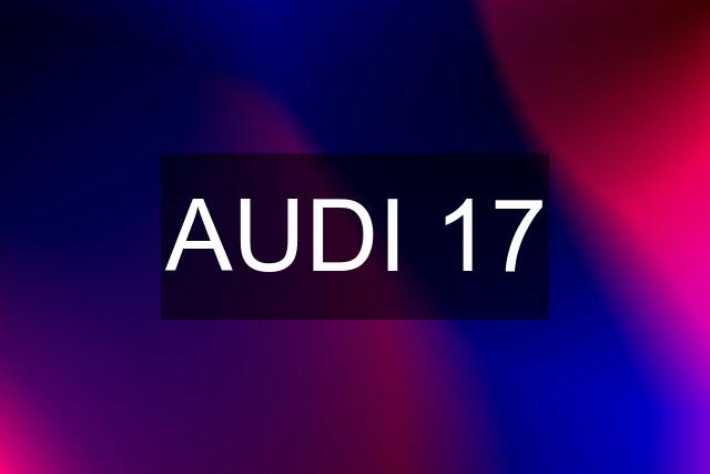 AUDI 17