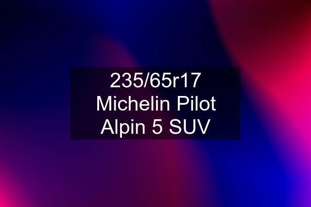 235/65r17 Michelin Pilot Alpin 5 SUV