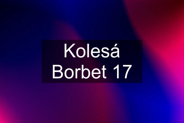 Kolesá Borbet 17