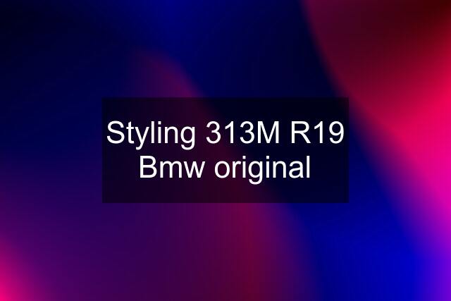 Styling 313M R19 Bmw original