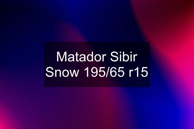 Matador Sibir Snow 195/65 r15