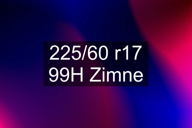 225/60 r17 99H Zimne