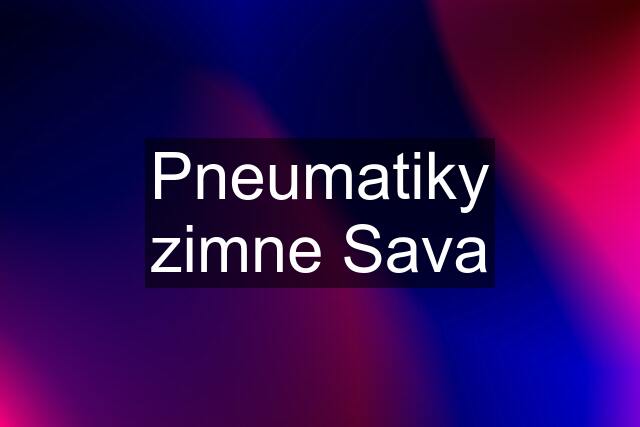 Pneumatiky zimne Sava