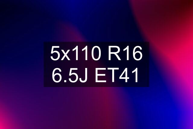 5x110 R16 6.5J ET41