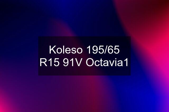 Koleso 195/65 R15 91V Octavia1