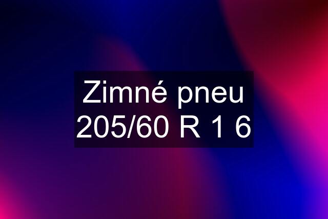 Zimné pneu 205/60 R 1 6