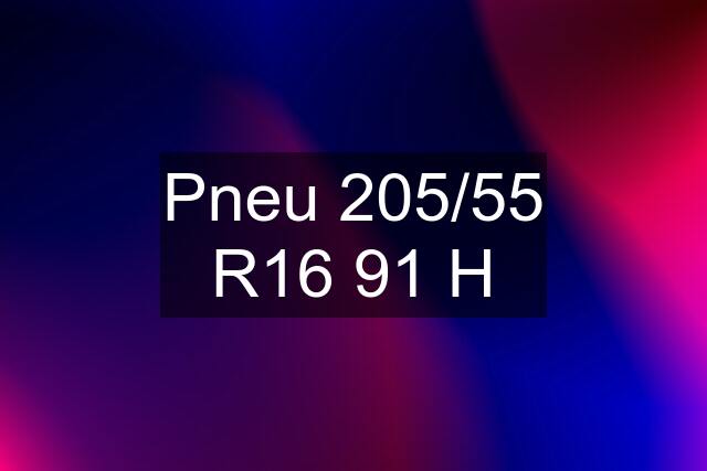 Pneu 205/55 R16 91 H