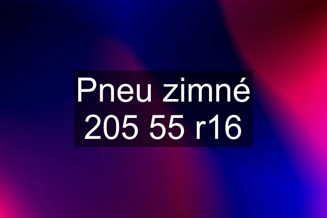 Pneu zimné 205 55 r16