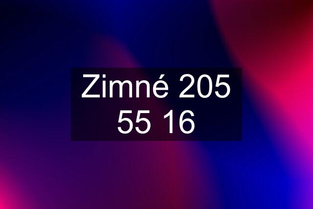 Zimné 205 55 16