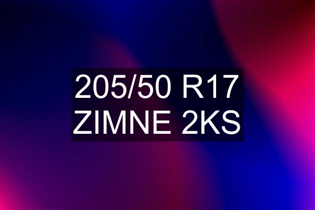 205/50 R17 ZIMNE 2KS