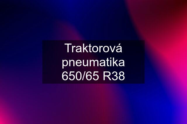 Traktorová pneumatika 650/65 R38