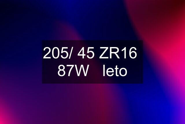 205/ 45 ZR16  87W   leto