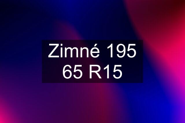 Zimné 195 65 R15