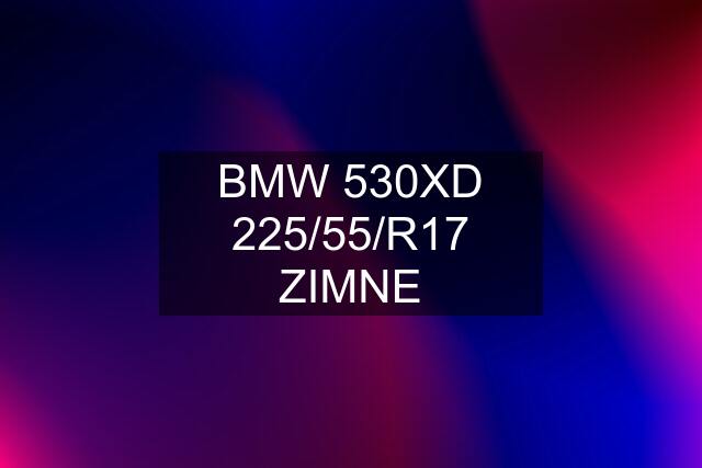 BMW 530XD 225/55/R17 ZIMNE