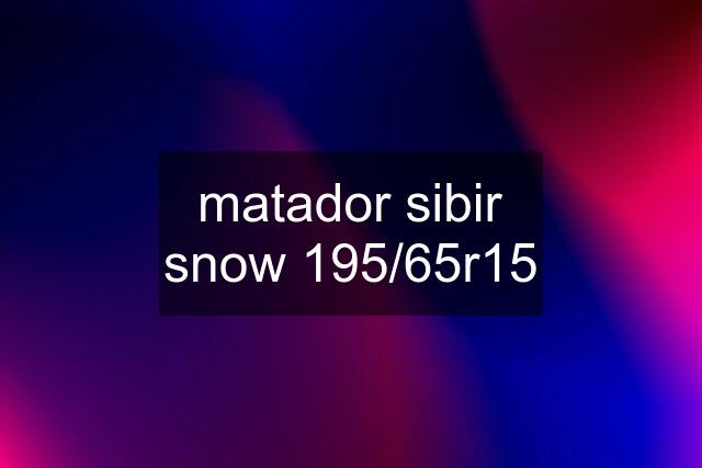 matador sibir snow 195/65r15