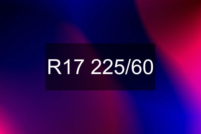 R17 225/60