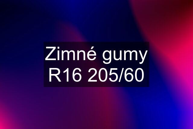 Zimné gumy R16 205/60