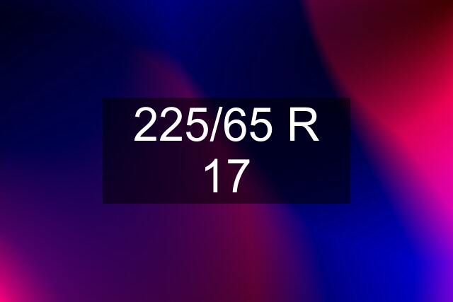 225/65 R 17