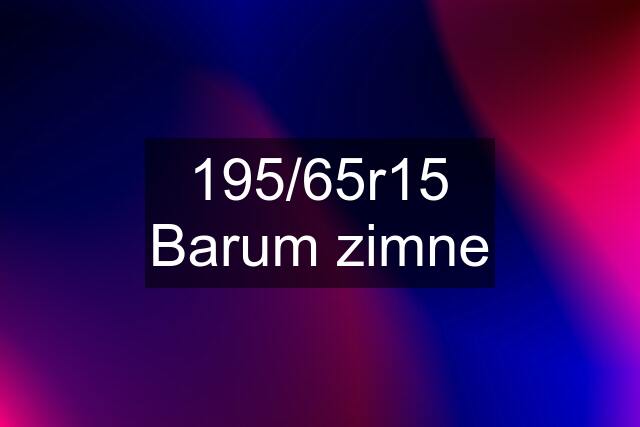 195/65r15 Barum zimne