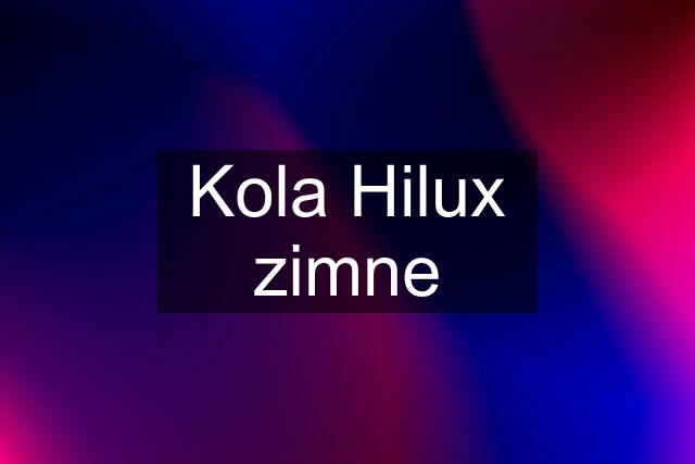 Kola Hilux zimne