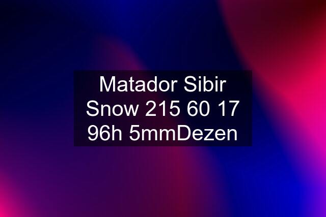 Matador Sibir Snow 215 60 17 96h 5mmDezen