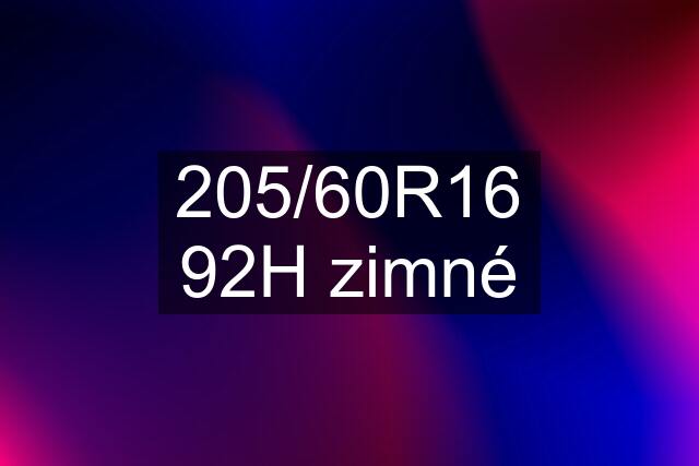 205/60R16 92H zimné