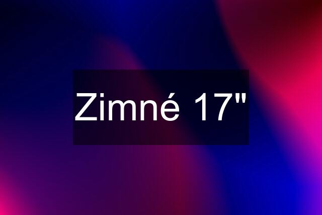 Zimné 17"