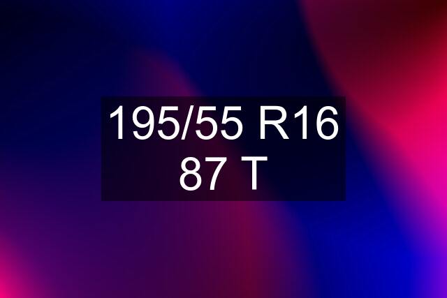 195/55 R16 87 T