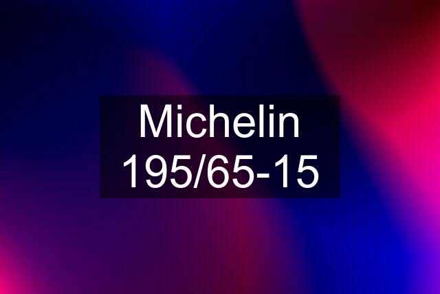 Michelin 195/65-15