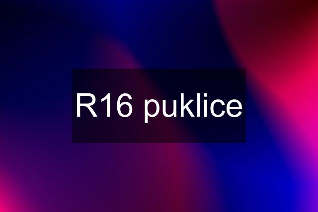 R16 puklice