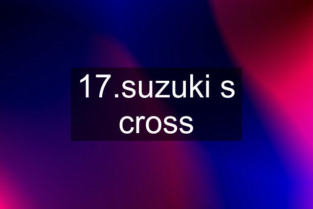 17.suzuki s cross