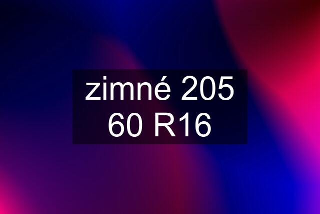 zimné 205 60 R16