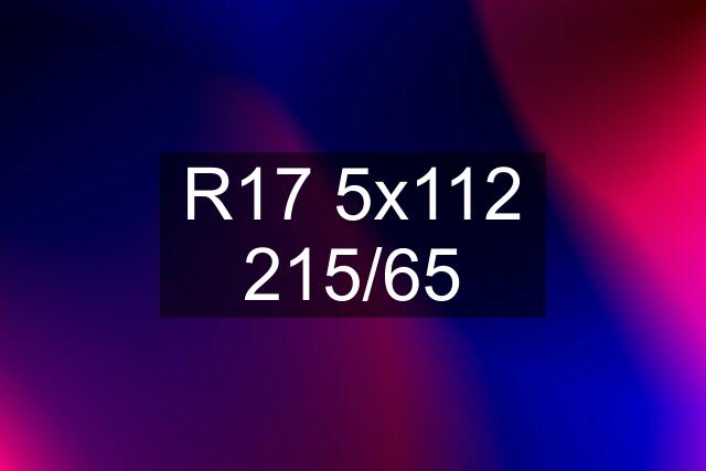 R17 5x112 215/65