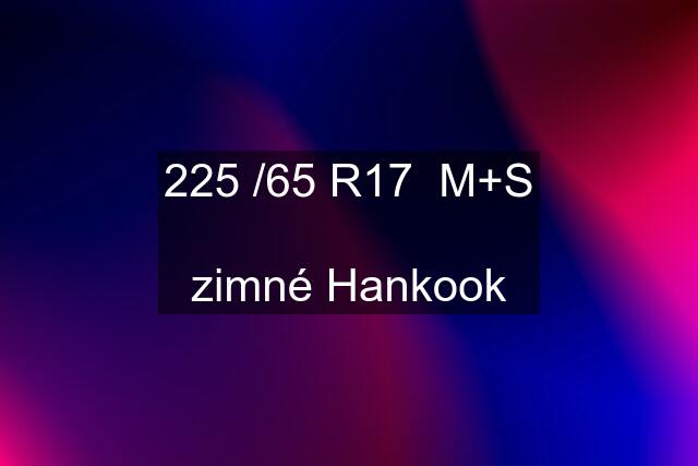 225 /65 R17 M+S zimné Hankook