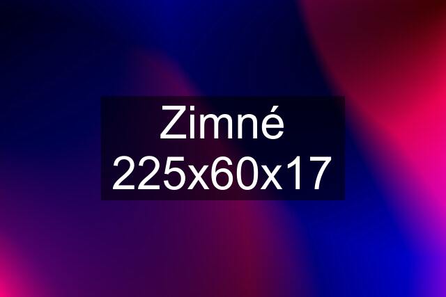 Zimné 225x60x17