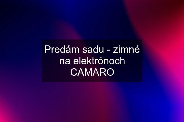 Predám sadu - zimné na elektrónoch CAMARO