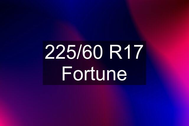 225/60 R17 Fortune