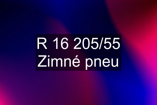 R 16 205/55 Zimné pneu