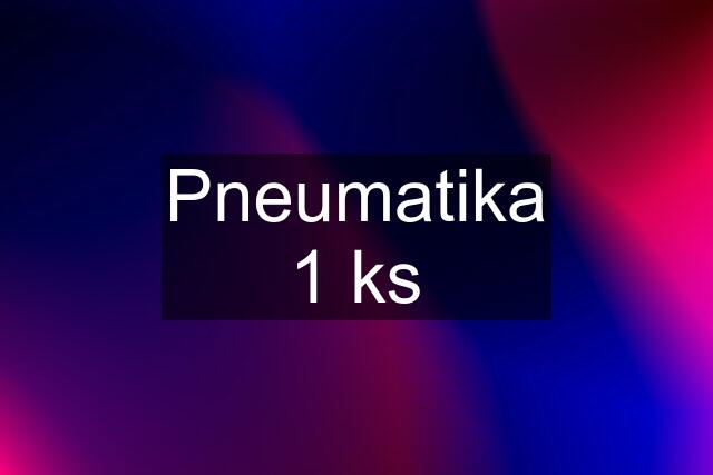 Pneumatika 1 ks