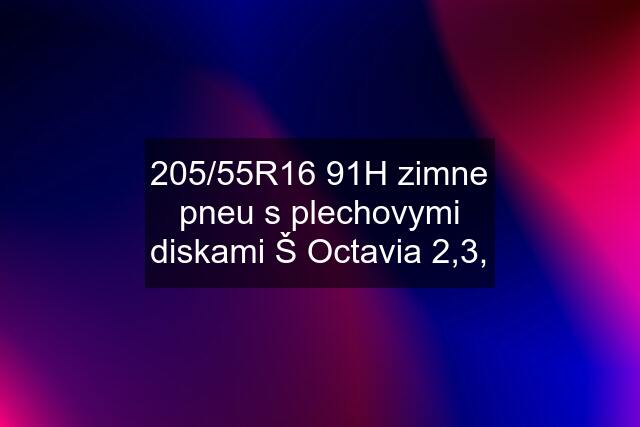 205/55R16 91H zimne pneu s plechovymi diskami Š Octavia 2,3,