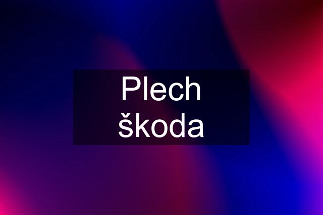 Plech škoda