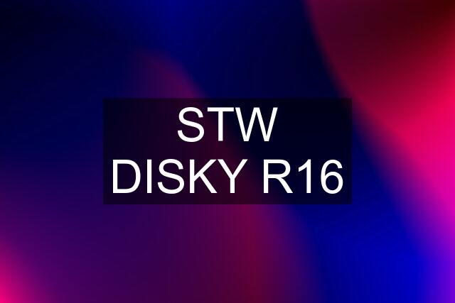 STW DISKY R16