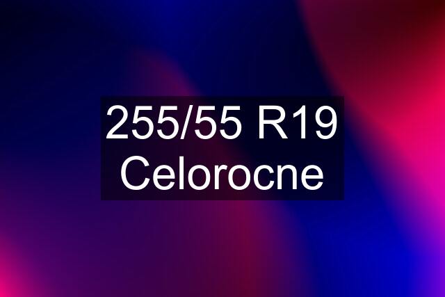 255/55 R19 Celorocne