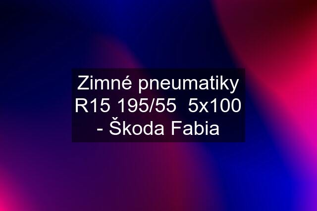 Zimné pneumatiky R15 195/55  5x100 - Škoda Fabia