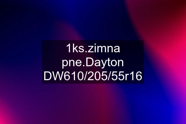 1ks.zimna pne.Dayton DW610/205/55r16