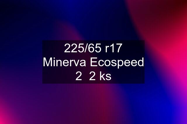 225/65 r17 Minerva Ecospeed 2  2 ks