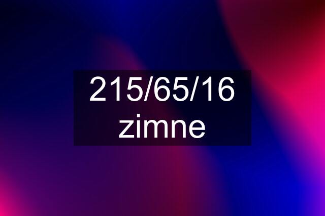 215/65/16 zimne