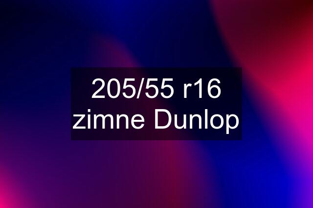 205/55 r16 zimne Dunlop