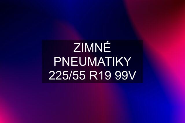 ZIMNÉ PNEUMATIKY 225/55 R19 99V